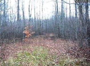 6121 Ballou Rd, Medina, OH 44256