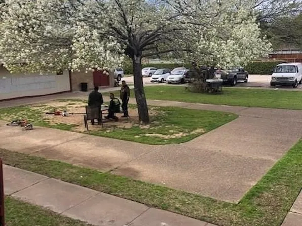 919 S Weatherred Dr APT 206, Richardson, TX 75080