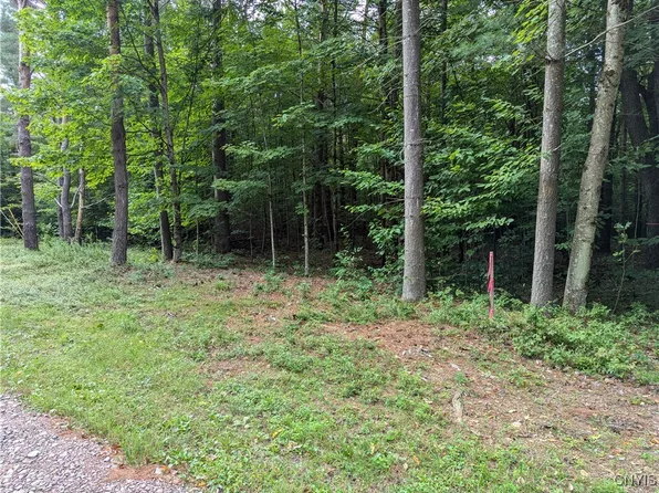 5092 Rugby Rd #49, Brantingham, NY 13312