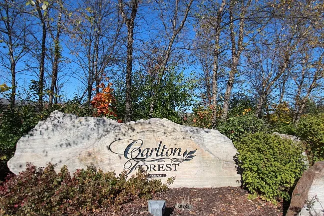 28406 Carlton Way Dr — Photo 13
