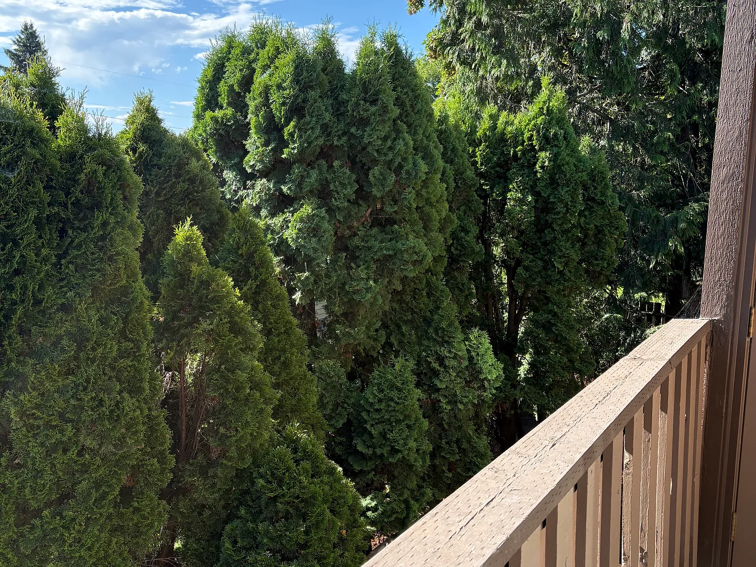 2 bed, 950 sqft, $1,695 — Photo 4