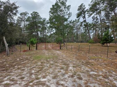 Cooter Pond Rd Lot 12500, Deland, FL, 32720