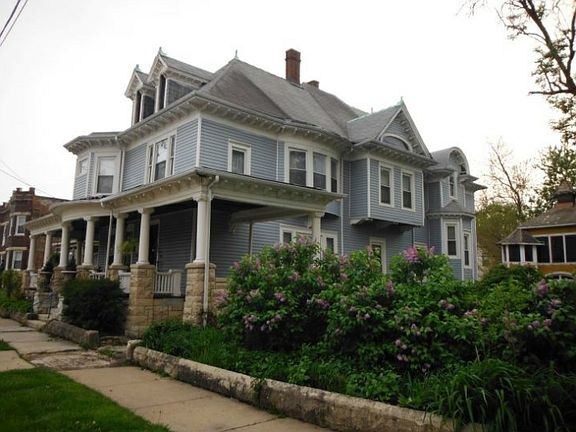 North side yard lilacs 
