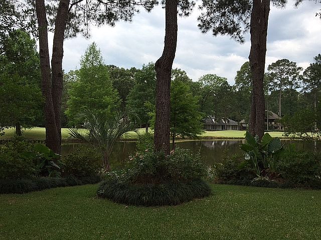 Lake view