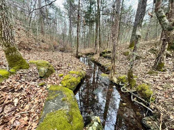 001-05451-000 Tomahawk Slab Rd, Saint Joe, AR 72675