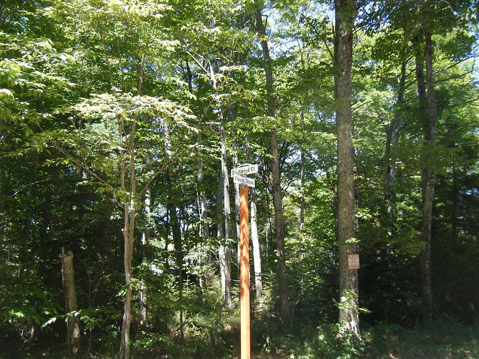 2nd image of 23 Cedar Ct