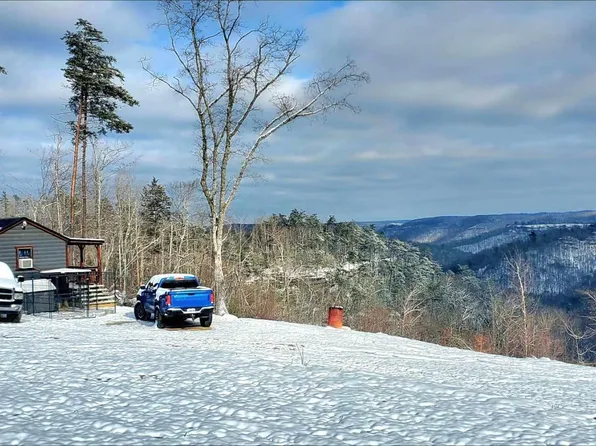 941 Skull Bone Tower Rd, Stearns, KY 42647