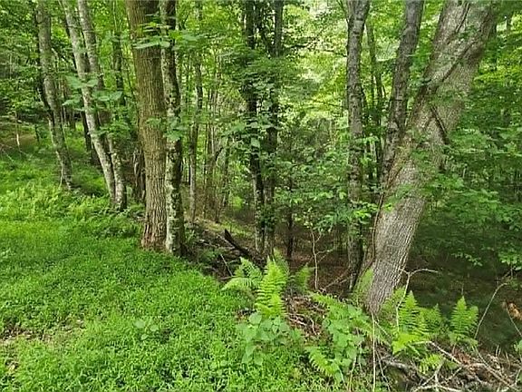 4th image of TBD Beech Nut Drive