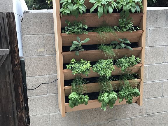Hanging herb garden in community area at Harbor Villa Apartments in San Diego, California.