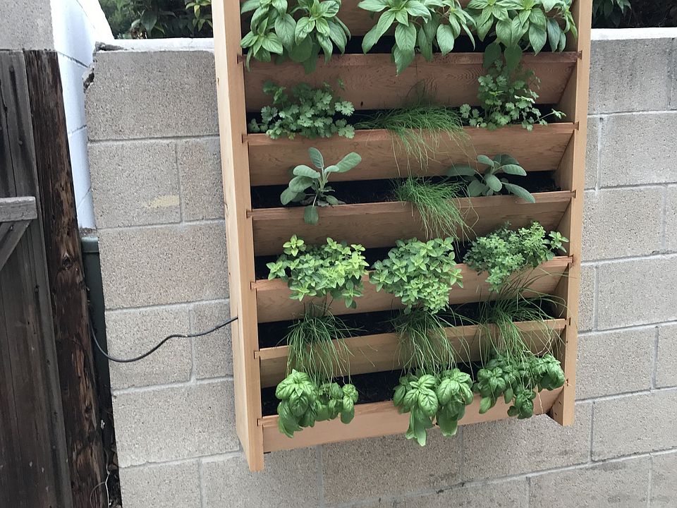 Hanging herb garden in community area at Harbor Villa Apartments in San Diego, California.