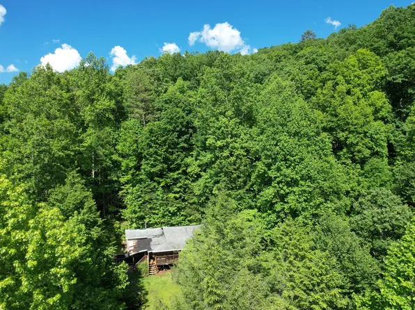 4250 Country Cove Way, Cosby, TN 37722