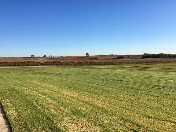 Thick, beautiful grass