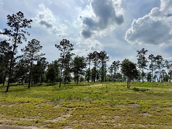 2nd image of LOT 74 Western Rd