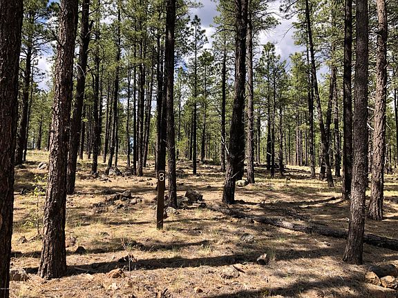 2nd image of 9584 Sierra Springs Way Lot 8