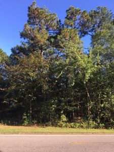 251 Juniper Creek Blvd, Pinehurst, NC, 28374