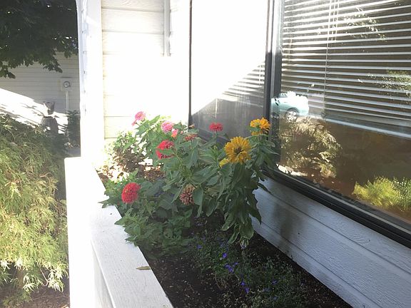 Front porch flower beds!