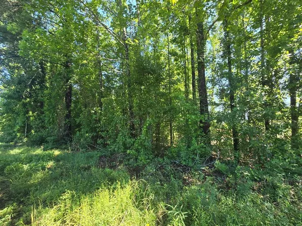 Pid64930 Cres #2120, Burkeville, TX 75932