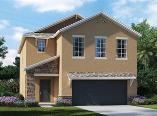 21467 Starry Eyes Way, Land O Lakes, FL 34637