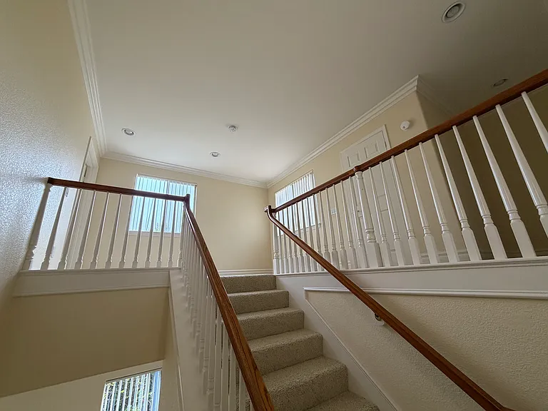 6833 Urubu St — Photo 16