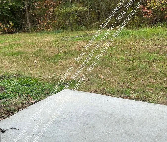 229 Lions Park Rd — Photo 16