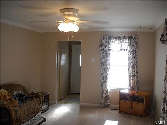 5th image of 513 Park St