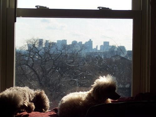 View of Boston from Living Room