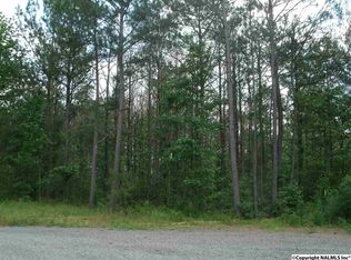 LOT 13 Grand Ave LOT 13, Rainsville, AL 35986
