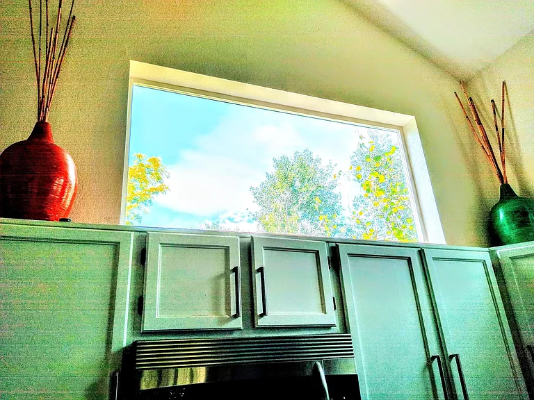 lots of sunlight!