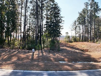 1612 Herons View Dr Lot 86, Wilmington, NC, 28401