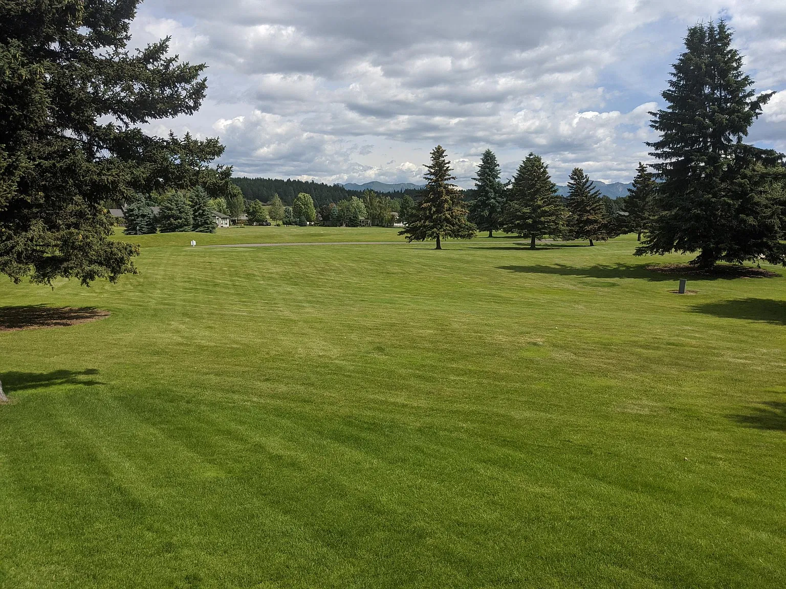 2 bed, 1218 sqft, $1,600 — Photo 3