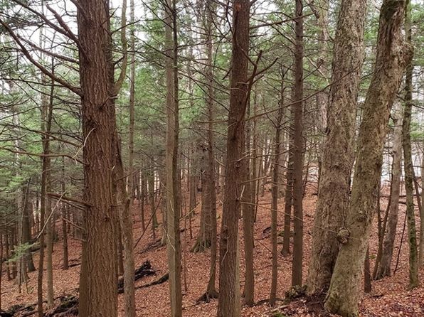 0 Lower Valley Rd, Becket, MA 01223