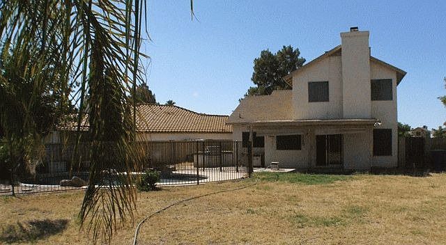 Back yard