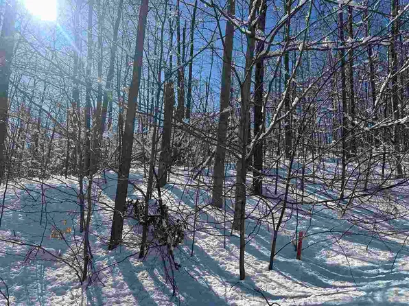 1339 Andover Club Dr #33, Harbor Springs, MI 49740