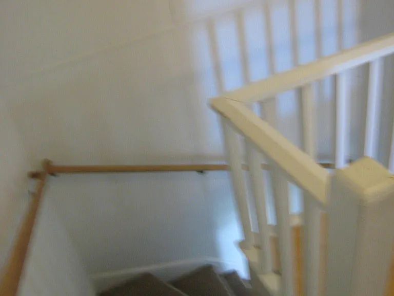 437 W Sinto Ave — Photo 15