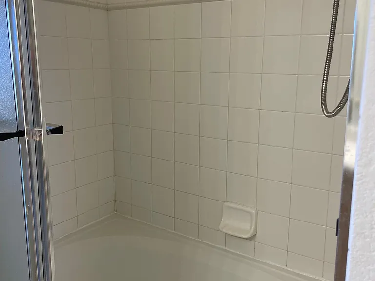 Master Bedroom Bathtub
