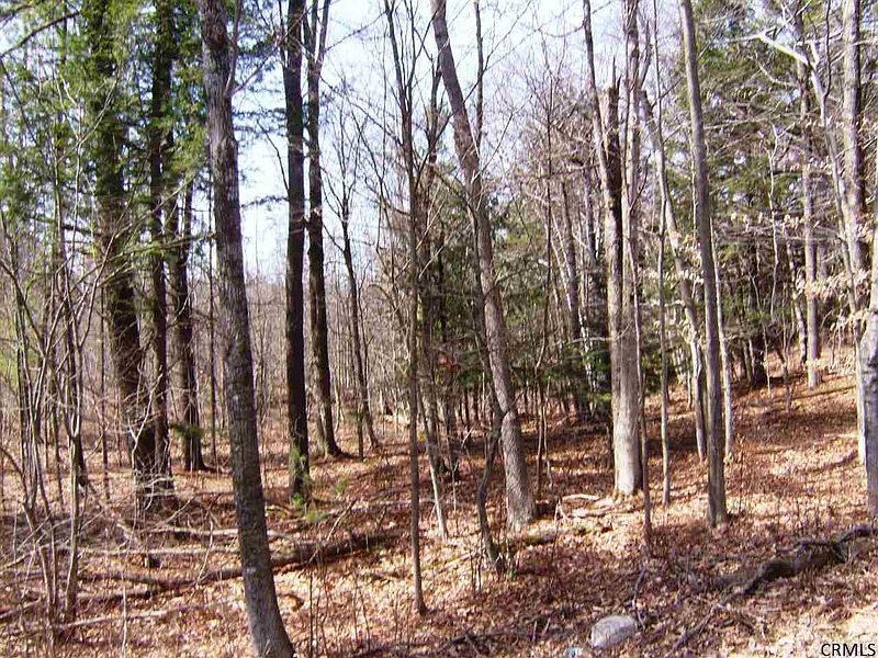 5th image of 000 KNOX CAVE Road