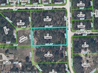 Motmot Rd, Weeki wachee, FL 34614