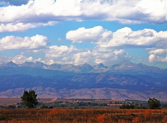 8675 RASPBERRY DRIVE