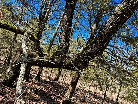 4th image of 45 N 4450th Rd