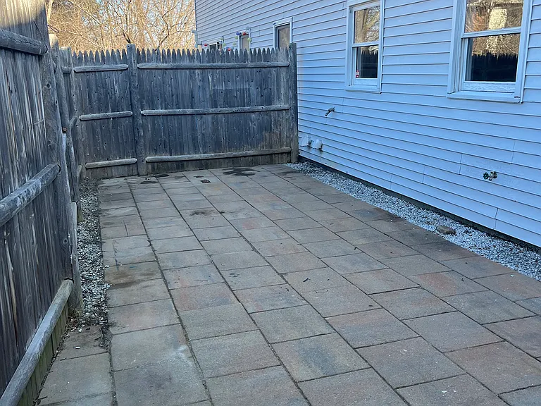Kiwi — Photo 15
