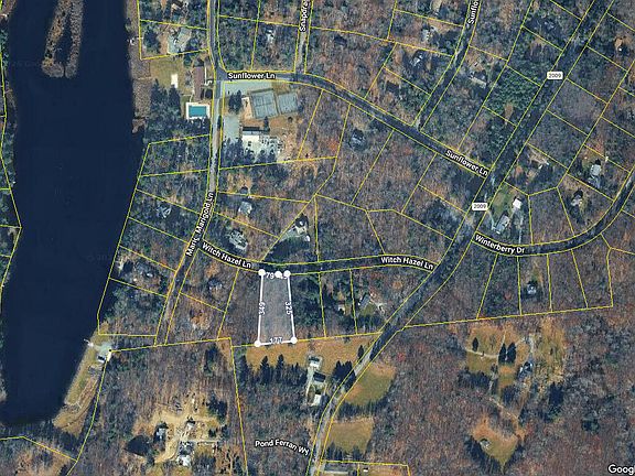 2nd image of Witch Hazel Ln