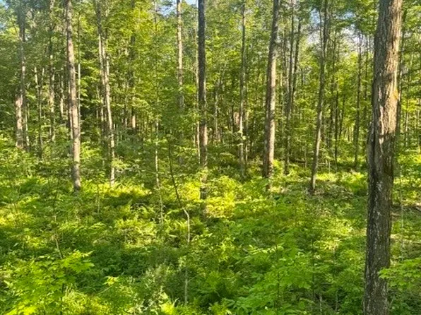 XXX East Grow Road, Conrath, WI 54731