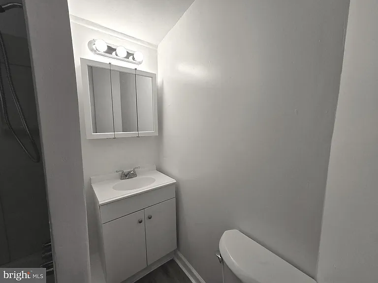 259 W Ruscomb St #1 — Photo 12