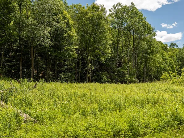 LOT 13 Lake Island Dr, Belington, WV 26250