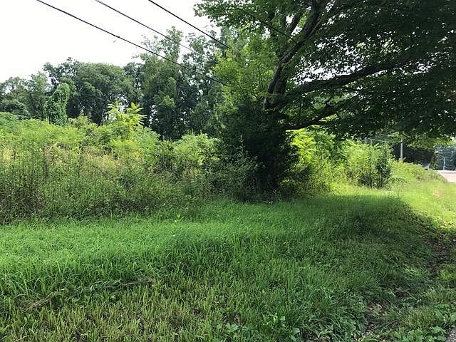 2nd image of Bell Campground Rd