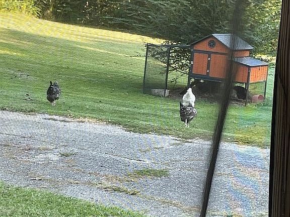 2nd image of 2001 Chenoor Rd