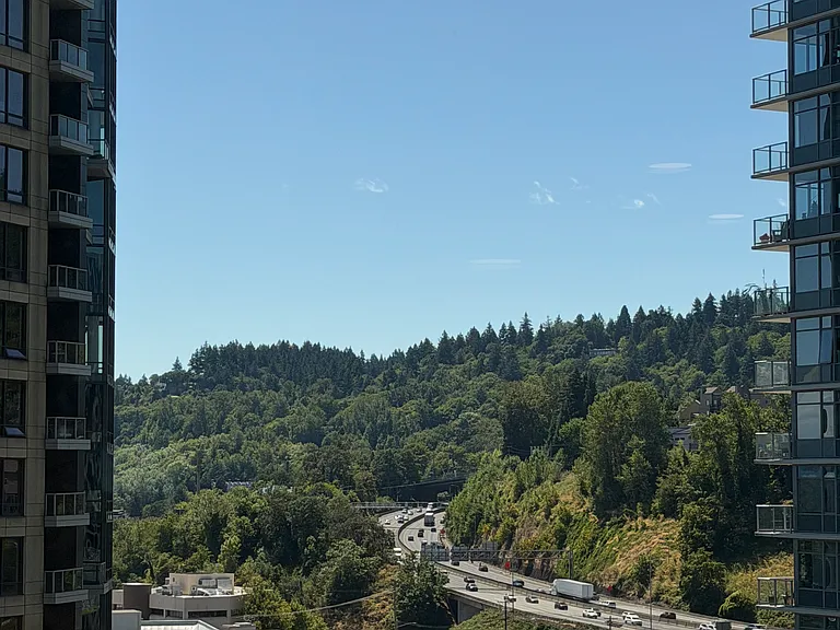 3600 S River Pkwy #1316 — Photo 12