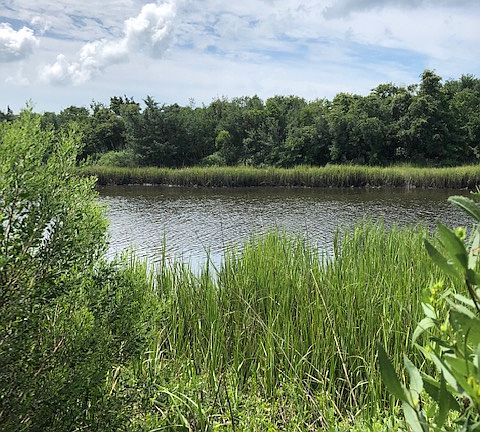 Water view up Davis Canal