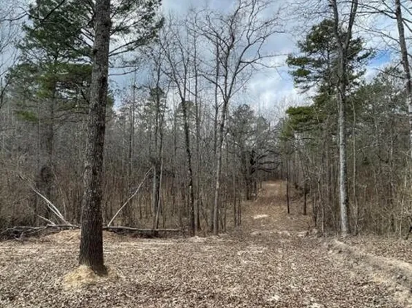 Permenter Rd, Camden, MS 39045