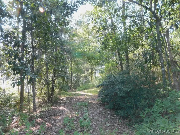 7 Greenbriar Loop, Andalusia, AL 36421